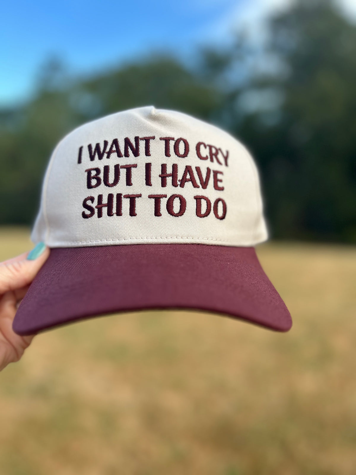 I Want to Cry But I Have Sh*t to Do